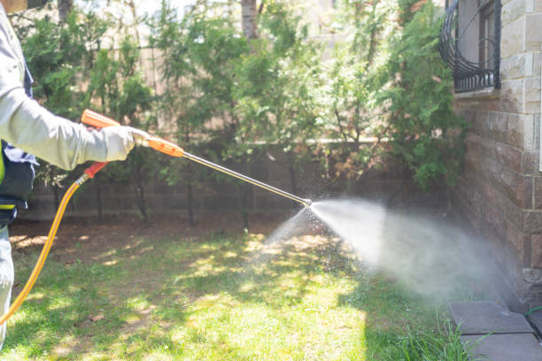 Bird Control in Iuka, MS