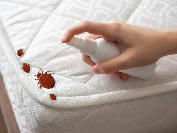  Iuka, MS Pest Control Pros