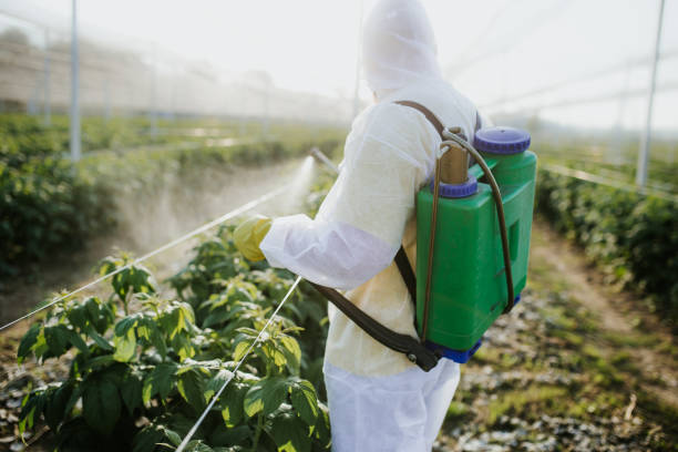 Best Cockroach Control Services  in Iuka, MS